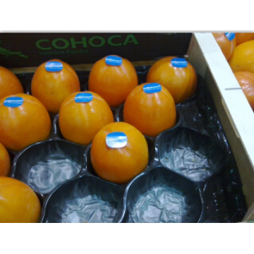 Vide jetable bon marché formant l&#39;emballage alvéolaire de plateau de fruit d&#39;utilisation de persimmon pour la protection